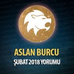 Aslan Burcu Şubat 2018 Yorumu