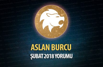 Aslan Burcu Şubat 2018 Yorumu
