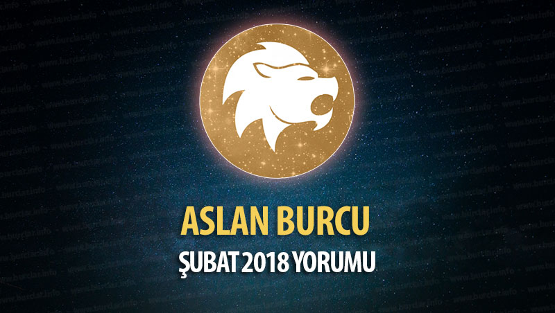 Aslan Burcu Şubat 2018 Yorumu