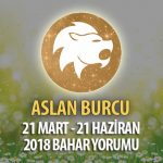 Aslan Burcu 2018 İlkbahar Yorumu