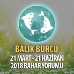 Balık Burcu 2018 İlkbahar Yorumu