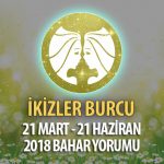 İkizler Burcu 2018 İlkbahar Yorumu