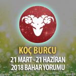 Koç Burcu 2018 İlkbahar Yorumu