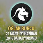 Oğlak Burcu 2018 İlkbahar Yorumu