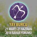 Yay Burcu 2018 İlkbahar Yorumu