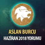 Aslan Burcu Haziran 2018 Yorumu