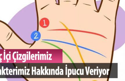 Avuç İçi Çizgilerine Göre Karakter Analizi!