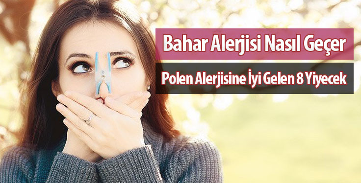 Bahar Alerjisi Nasıl Geçer ? Polen Alerjisine İyi Gelen 8 Yiyecek