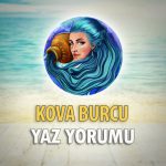 Kova Burcu 2018 Yaz Yorumu