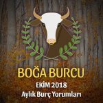 Boğa Burcu Ekim 2018 Yorumu