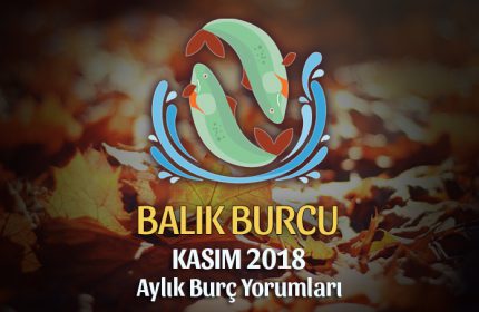 Balık Burcu Kasım 2018 Yorumu