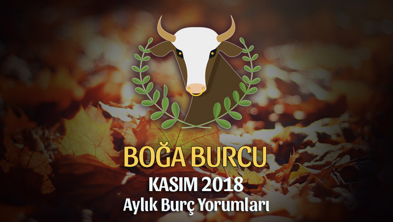 Boğa Burcu Kasım 2018 Yorumu