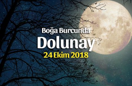 24 Ekim 2018 Boğa Burcunda Dolunay İle Yeniden Doğuş Zamanı