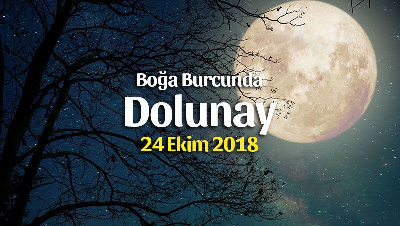 24 Ekim 2018 Boğa Burcunda Dolunay İle Yeniden Doğuş Zamanı