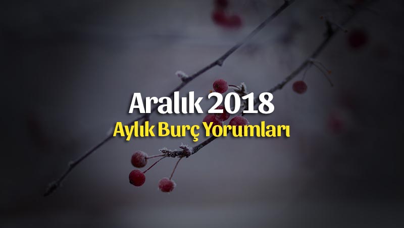 Aralık 2018 Aylık Burç Yorumları