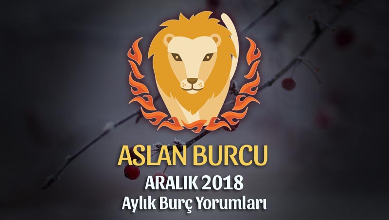 Aslan Burcu Aralık 2018 Yorumu