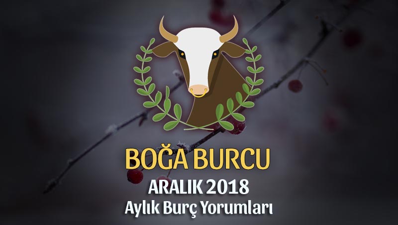 Boğa Burcu Aralık 2018 Yorumu