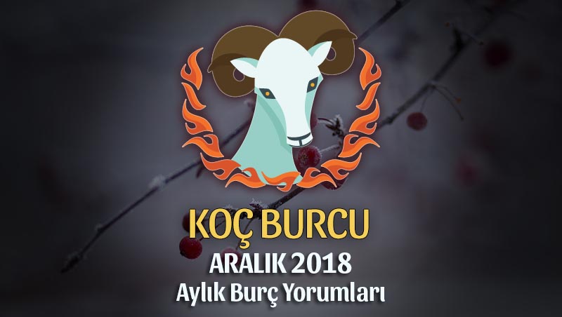 Koç Burcu Aralık 2018 Yorumu