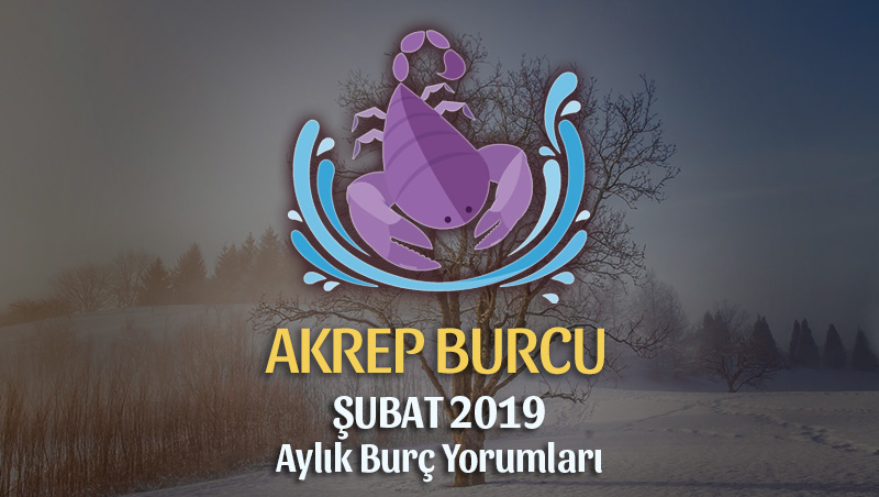 Akrep Burcu Şubat 2019 Yorumu