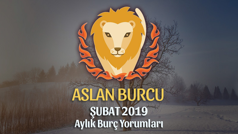 Aslan Burcu Şubat 2019 Yorumu