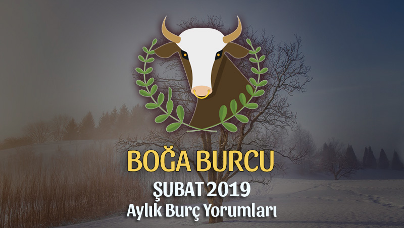 Boğa Burcu Şubat 2019 Yorumu