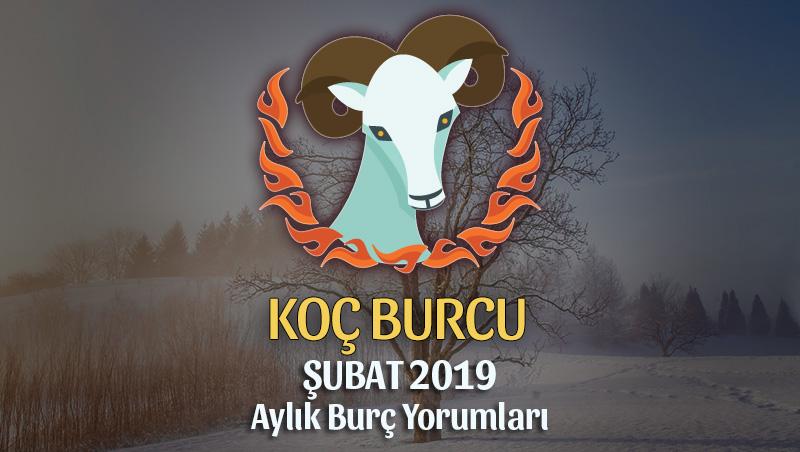 Koç Burcu Şubat 2019 Yorumu