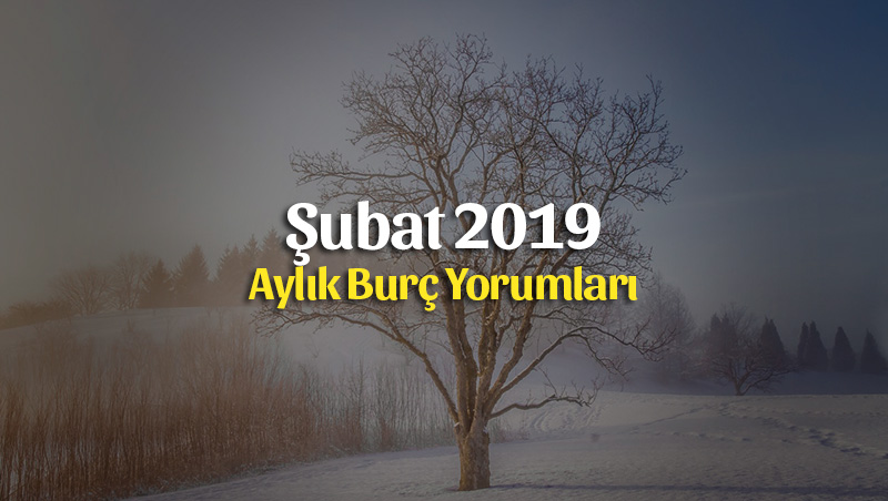 Şubat 2019 Burç Yorumları