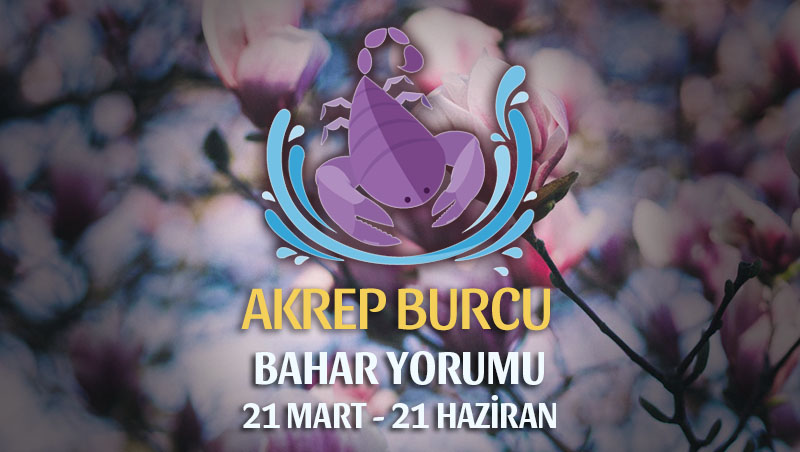 Akrep Burcu 2019 Bahar Yorumu