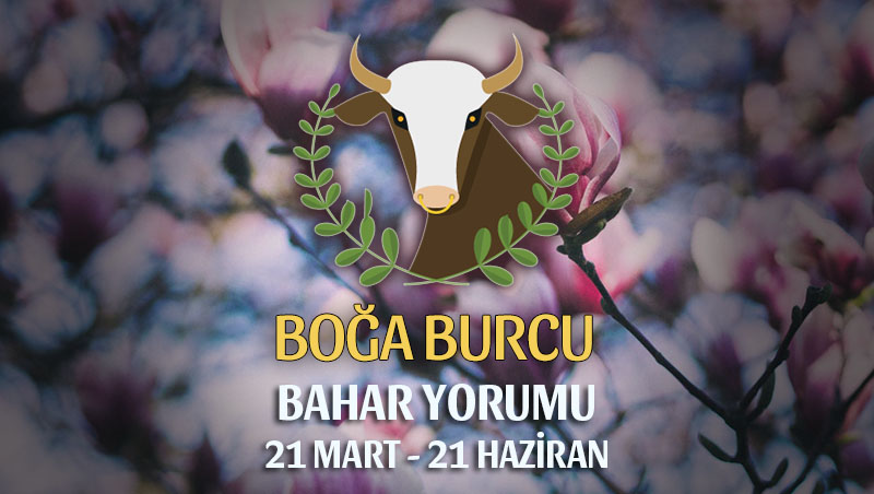 Boğa Burcu 2019 Bahar Yorumu