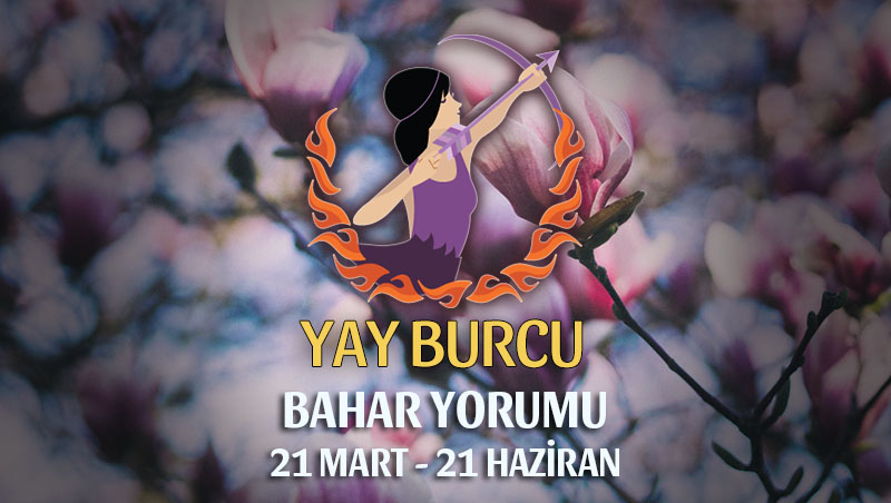 Yay Burcu 2019 Bahar Yorumu