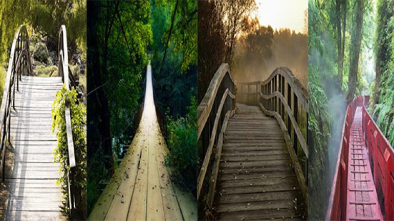 Hangi Köprüden Geçmeyi Tercih Edersiniz ?