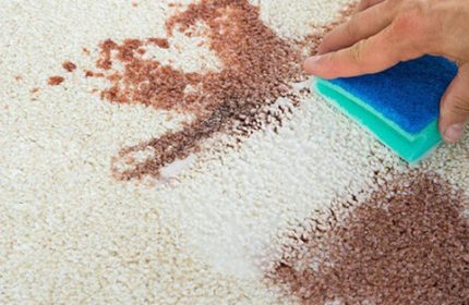 Ev Yapımı Formülle Halılarınız İlk Günkü Gibi Olacak