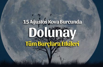 Dolunay Kova Burcunda 15 Ağustos 2019