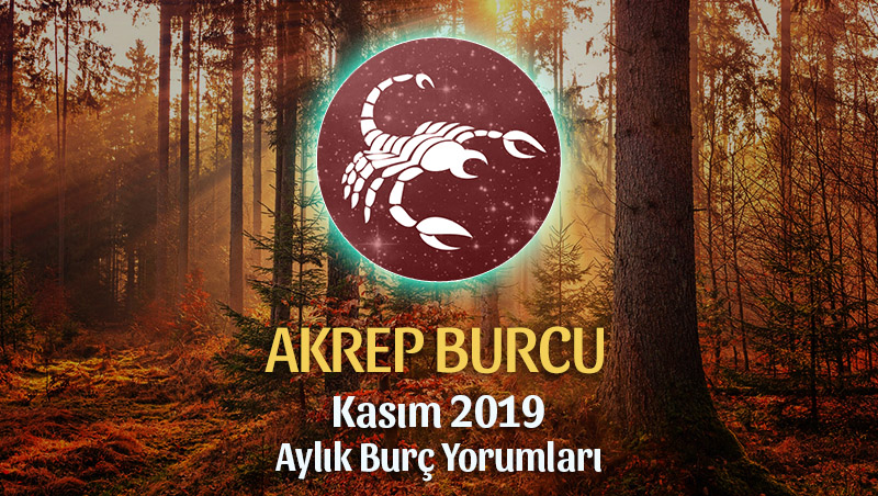 Akrep Burcu Kasım 2019 Aylık Yorum