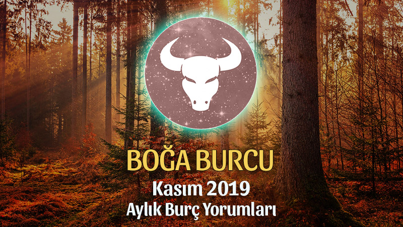 Boğa Burcu Kasım 2019 Aylık Yorum