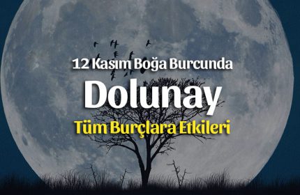 Dolunay Boğa Burcunda 12 Kasım 2019 Burçlara Etkileri