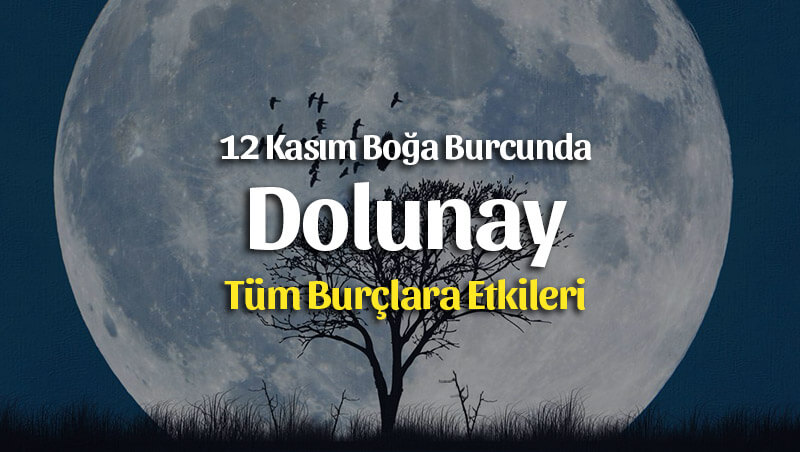 Dolunay Boğa Burcunda 12 Kasım 2019 Burçlara Etkileri