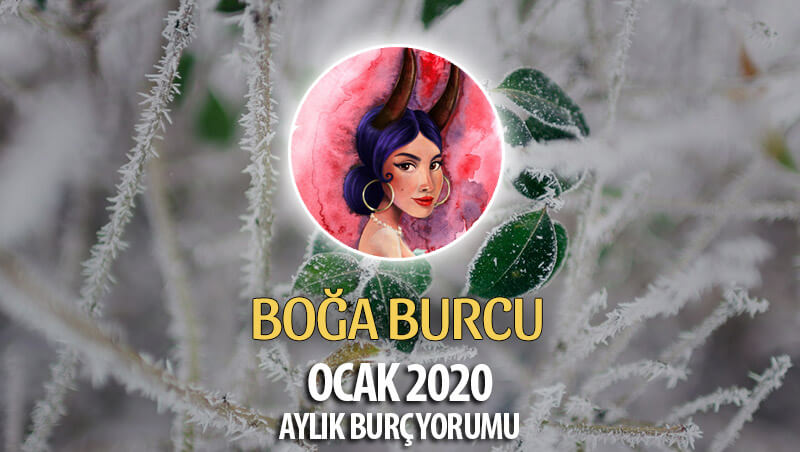 Boğa Burcu Ocak 2020 Yorumu