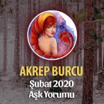 Akrep Burcu Şubat 2020 Aylık Aşk Yorumu