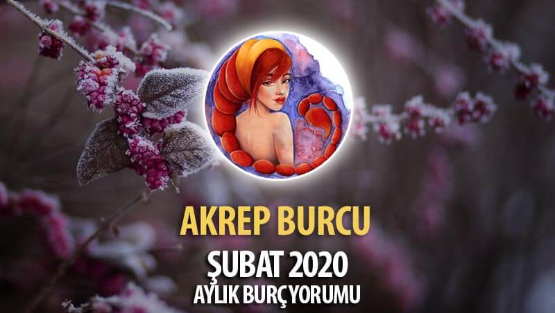 Akrep Burcu Şubat 2020 Yorumu