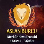 Aslan Burcu Merkür Kova Transiti Etkileri 16 Ocak - 3 Şubat