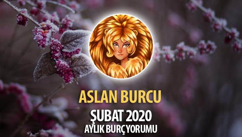 Aslan Burcu Şubat 2020 Yorumu