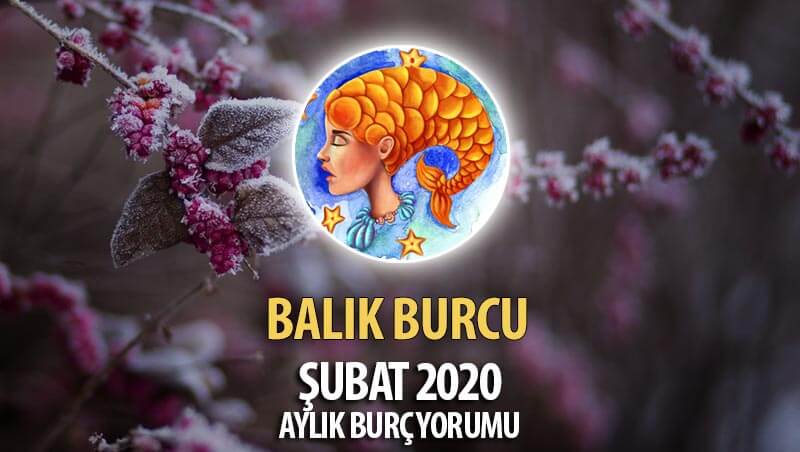 Balık Burcu Şubat 2020 Yorumu