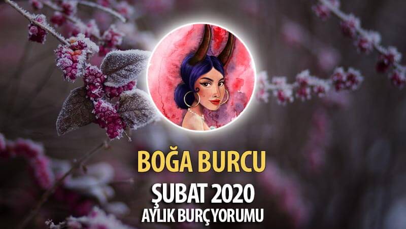 Boğa Burcu Şubat 2020 Yorumu