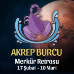 Akrep Burcu Merkür Retrosu Etkileri 17 Şubat - 10 Mart 2020