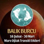 Balık Burcu Mars Oğlak Transiti Etkileri