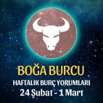 Boğa Burcu Haftalık Burç Yorumu 24 Şubat - 1 Mart