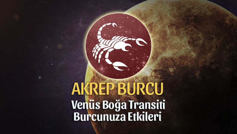 Akrep Burcu Venüs Boğa Transiti Etkileri