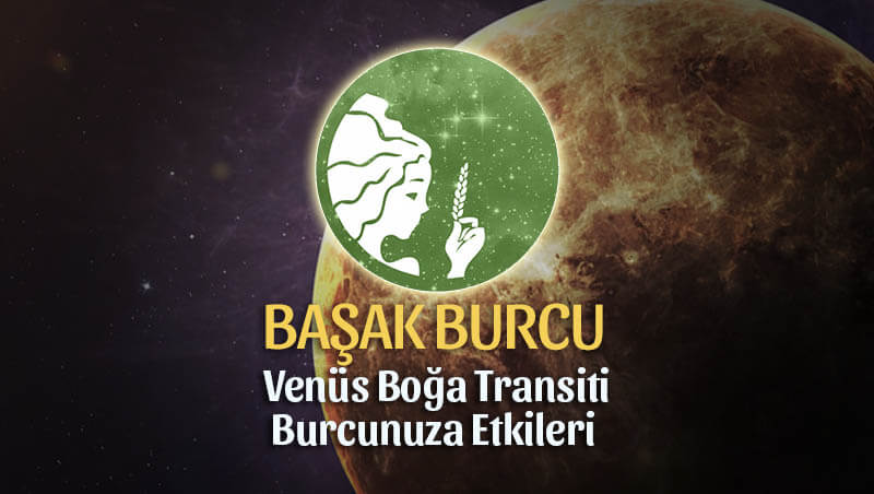 Başak Burcu Venüs Boğa Transiti Etkileri