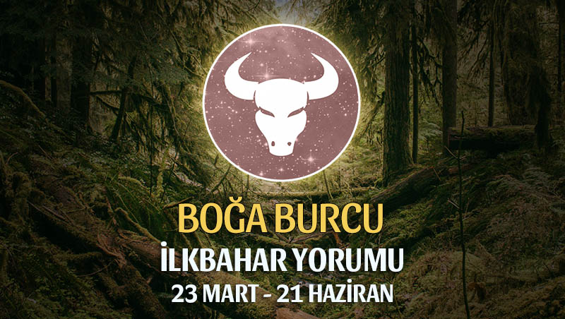 Boğa Burcu 2020 İlkbahar Yorumu